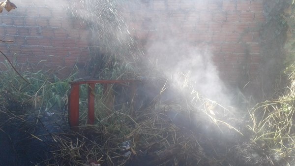 Grupo de voluntários contêm incêndio de grande proporção em Barras - Imagem 3