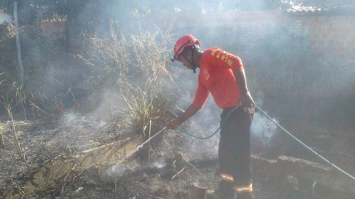 Grupo de voluntários contêm incêndio de grande proporção em Barras - Imagem 1