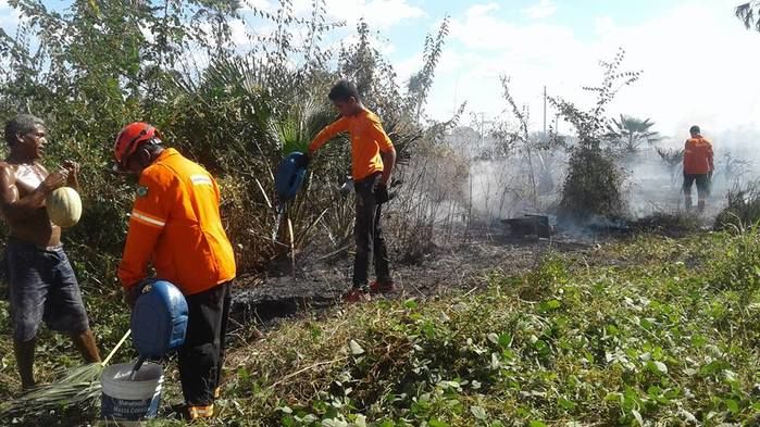 Grupo de voluntários contêm incêndio de grande proporção em Barras - Imagem 4