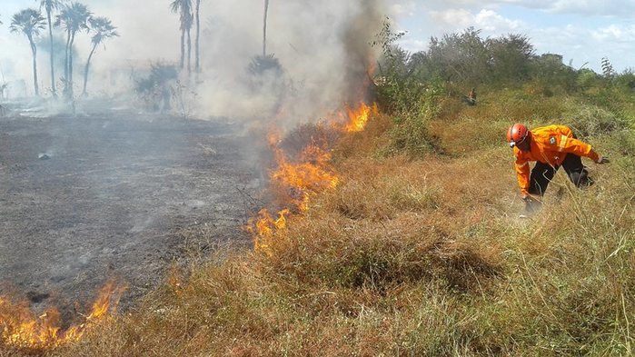 Grupo de voluntários contêm incêndio de grande proporção em Barras - Imagem 2