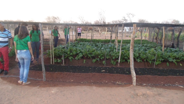Feira agrícola é realizada com sucesso em Santo Inácio  - Imagem 10