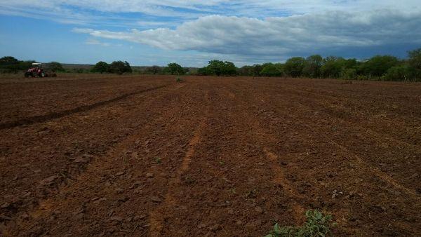 Prefeitura começa aração de terras para produtores rurais  - Imagem 8