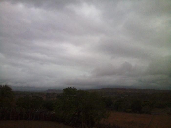 Prefeitura começa aração de terras para produtores rurais  - Imagem 2