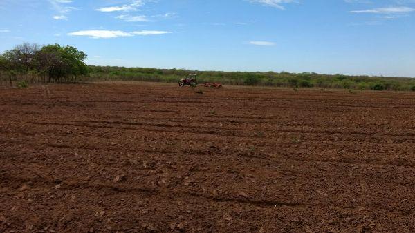 Prefeitura começa aração de terras para produtores rurais  - Imagem 13