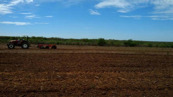 Prefeitura começa aração de terras para produtores rurais  - Imagem 14