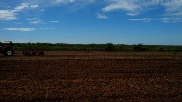 Prefeitura começa aração de terras para produtores rurais  - Imagem 12