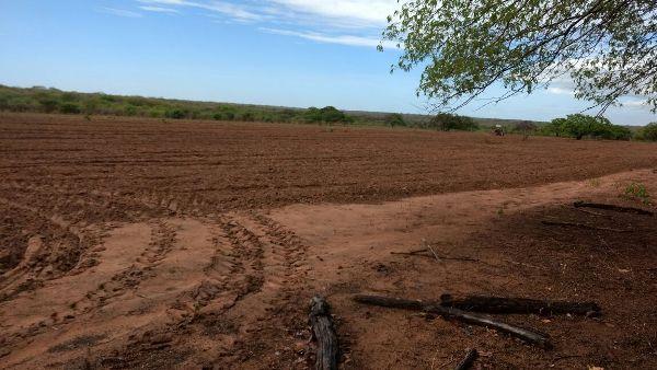 Prefeitura começa aração de terras para produtores rurais  - Imagem 11