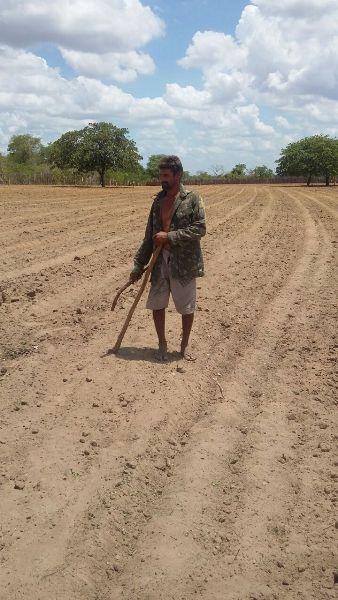 Prefeitura começa aração de terras para produtores rurais  - Imagem 5