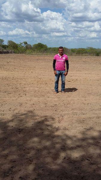 Prefeitura começa aração de terras para produtores rurais  - Imagem 6