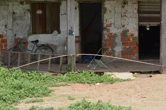 Pai acusado de assassinar o filho é morto a pauladas - Imagem 3