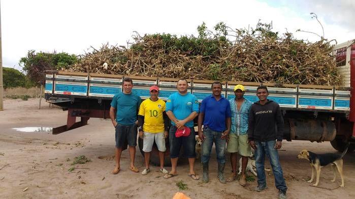 Parceria Entre Prefeitura e Sindicato Consegue Sementes de Maniva - Imagem 1