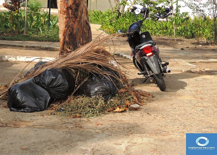 Trabalho emergencial na limpeza da cidade já teve início   - Imagem 5