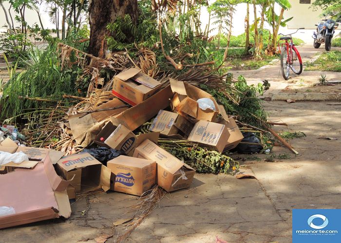 Trabalho emergencial na limpeza da cidade já teve início   - Imagem 4