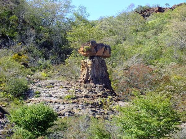 PEDRA CABEÇO (Crédito: Josely Ecologista)