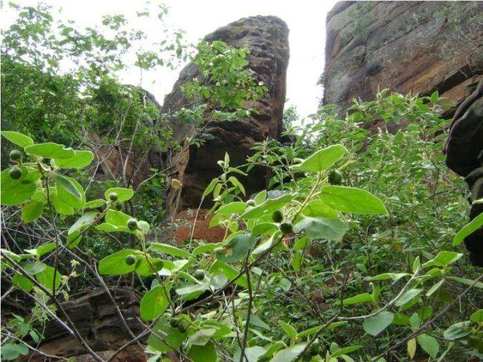 Fundação Benilde Vasconcelos promove palestra sobre turismo em DEL - Imagem 17