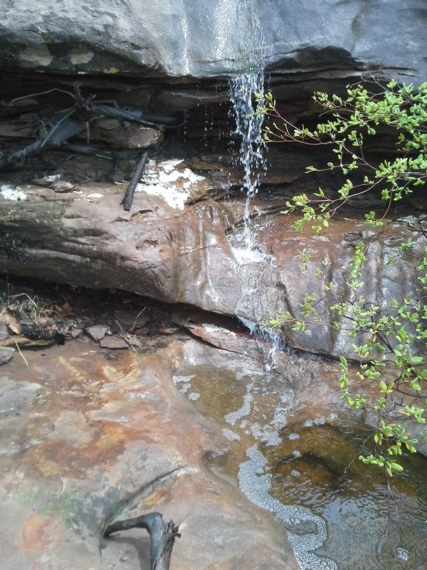 Fundação Benilde Vasconcelos promove palestra sobre turismo em DEL - Imagem 38