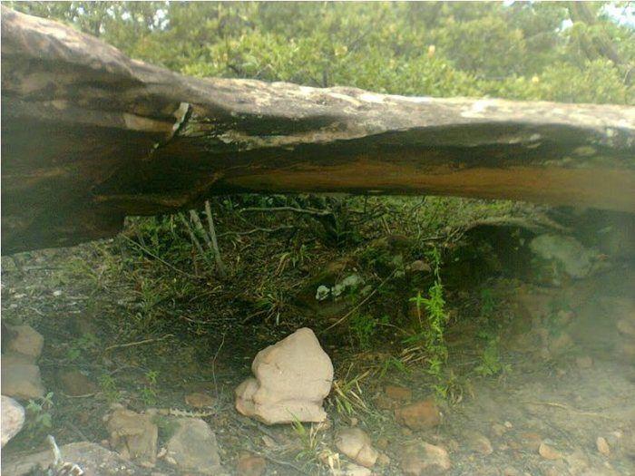 Fundação Benilde Vasconcelos promove palestra sobre turismo em DEL - Imagem 10