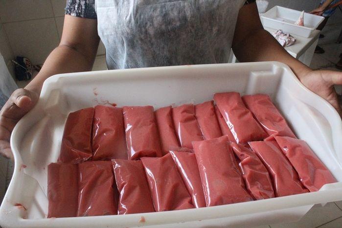 Curso de Capacitação de Polpa Congelada em Vila Zé Paulino - Imagem 3