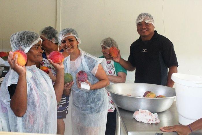 Curso de Capacitação de Polpa Congelada em Vila Zé Paulino - Imagem 10