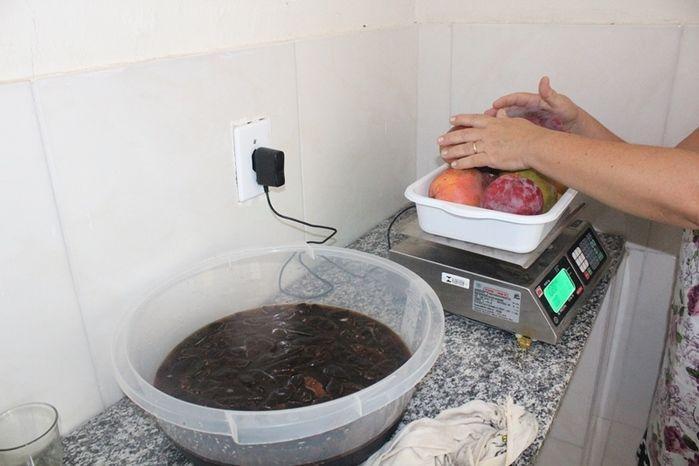 Curso de Capacitação de Polpa Congelada em Vila Zé Paulino - Imagem 18