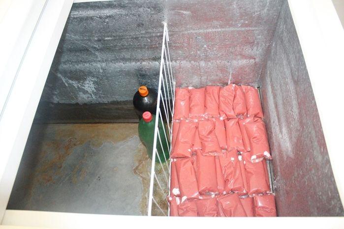 Curso de Capacitação de Polpa Congelada em Vila Zé Paulino - Imagem 28