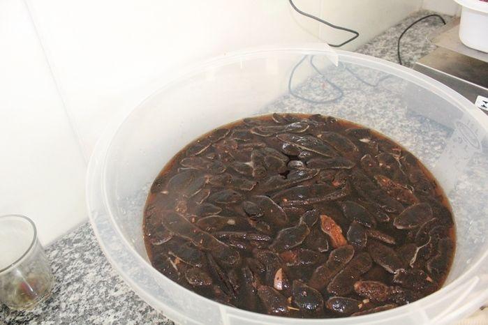 Curso de Capacitação de Polpa Congelada em Vila Zé Paulino - Imagem 17