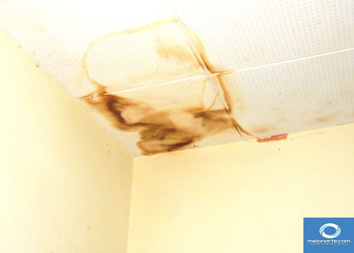 SEMAS tem atendimento prejudicado por falta de informações - Imagem 4