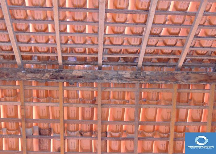 Precariedade retrata descaso da gestão passada com a agricultura - Imagem 11