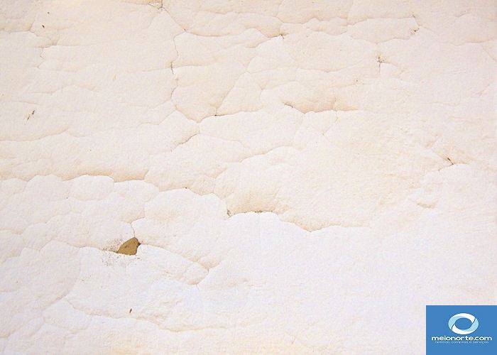 Precariedade retrata descaso da gestão passada com a agricultura - Imagem 5