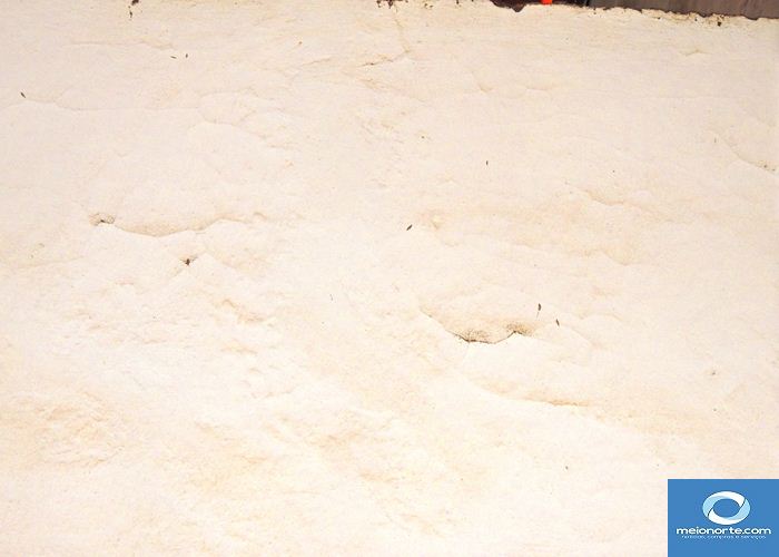 Precariedade retrata descaso da gestão passada com a agricultura - Imagem 4