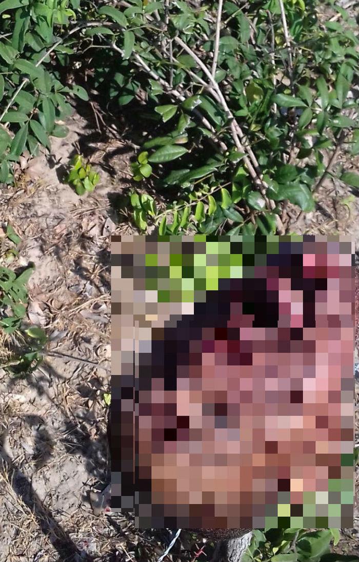 Cebeça pendurada em cerca (Crédito: Reprodução)