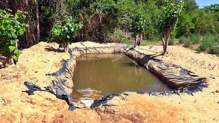 Tanque artificial criado para acumular água.  (Crédito: Kairo Amaral)