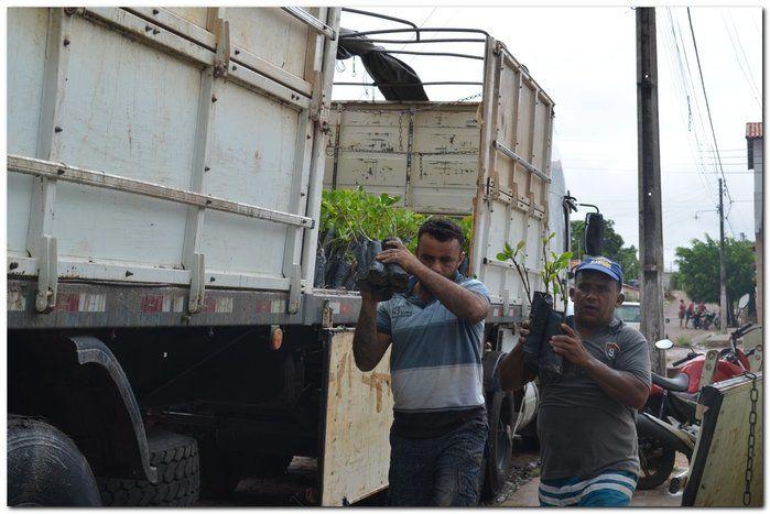 Prefeito Silva Júnior e o Secretário Erivan  desenvolvem ações  - Imagem 4