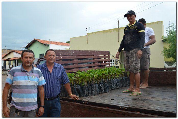 Prefeito Silva Júnior e o Secretário Erivan  desenvolvem ações  - Imagem 5