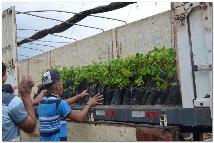 Prefeito Silva Júnior e o Secretário Erivan  desenvolvem ações  - Imagem 3