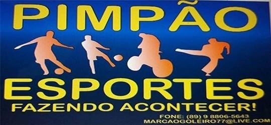 Pantanal de Picos foi a Campeã da 1ª Copa Mix em Dom Expedito Lopes - Imagem 30