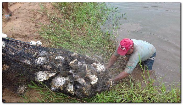 Famílias do Município de Inhuma recebem Cestas com Alimentos - Imagem 26