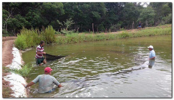 Famílias do Município de Inhuma recebem Cestas com Alimentos - Imagem 23