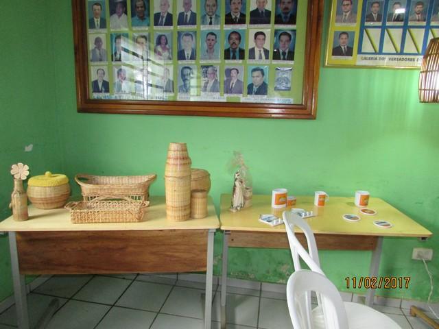 Alunos da UFPI Realizam Aula Passeio em Ipiranga - Imagem 10