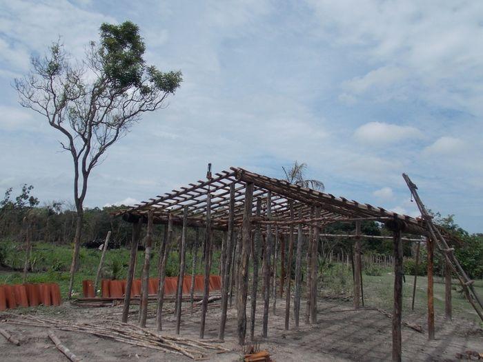 Casal vive em situação sub humana em zona rural. - Imagem 6