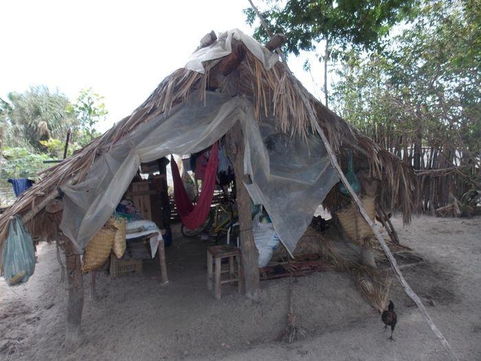 Casal vive em situação sub humana em zona rural. - Imagem 4