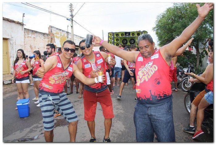 Desfile dos blocos em Inhuma fascinam por onde passam   - Imagem 47