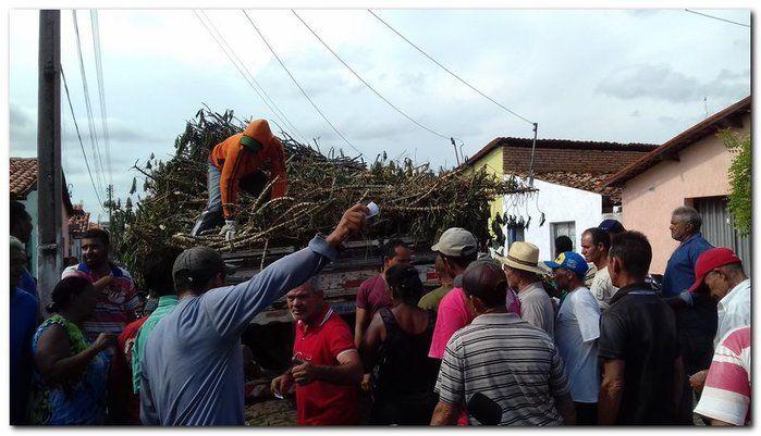 Prefeito Silva Júnior e Sec. Erivan Almondes distribui sementes - Imagem 3