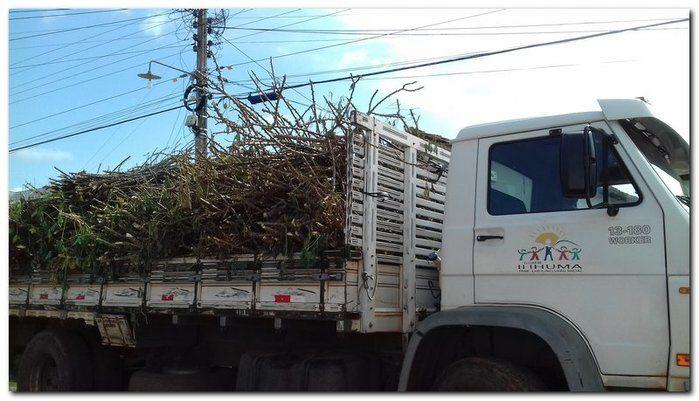 Prefeito Silva Júnior e Sec. Erivan Almondes distribui sementes - Imagem 1