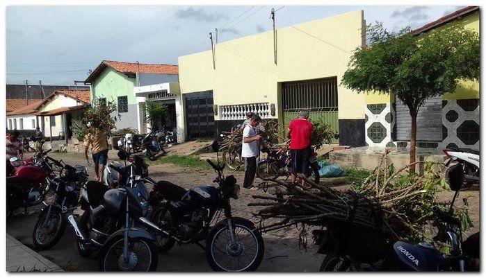 Prefeito Silva Júnior e Sec. Erivan Almondes distribui sementes - Imagem 13