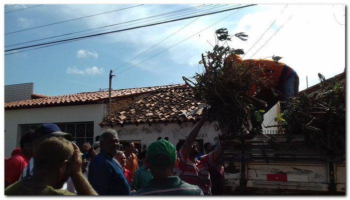 Prefeito Silva Júnior e Sec. Erivan Almondes distribui sementes - Imagem 7