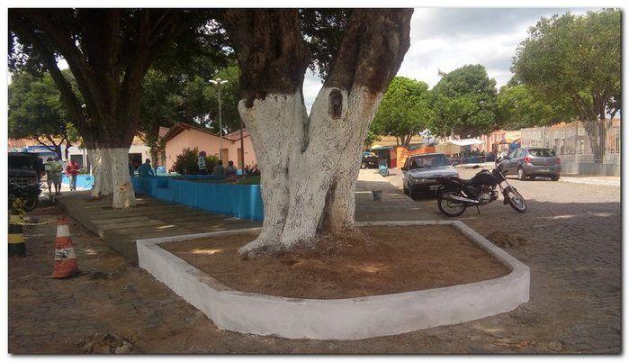 Prefeitura de Inhuma realiza serviço de conservação das Praças  - Imagem 5