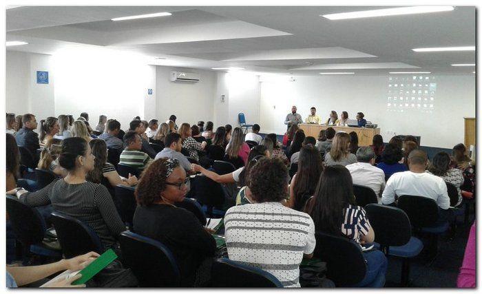 Coordenadora do CAPS de Inhuma participa de Colegiado - Imagem 2