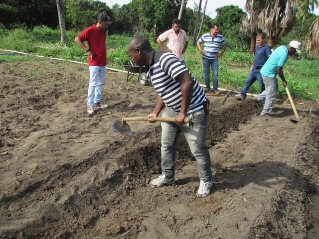 Prefeitura de Ipiranga Realiza Parceria Para Produção de Alho - Imagem 27