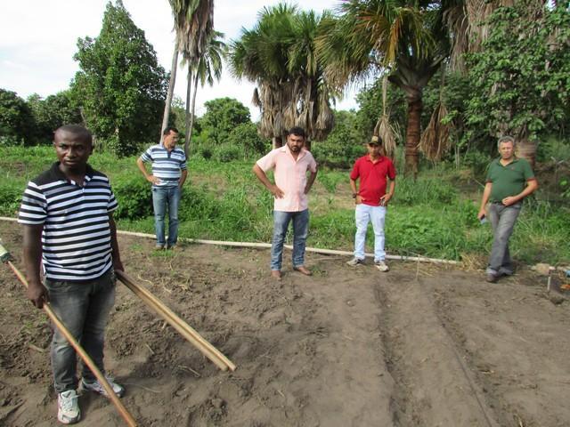 Prefeitura de Ipiranga Realiza Parceria Para Produção de Alho - Imagem 18